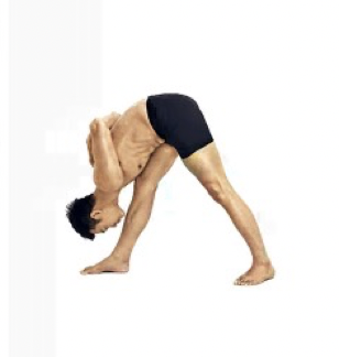 阿斯汤加瑜伽（Ashtanga Yoga）第一序列学习与实践笔记（二）